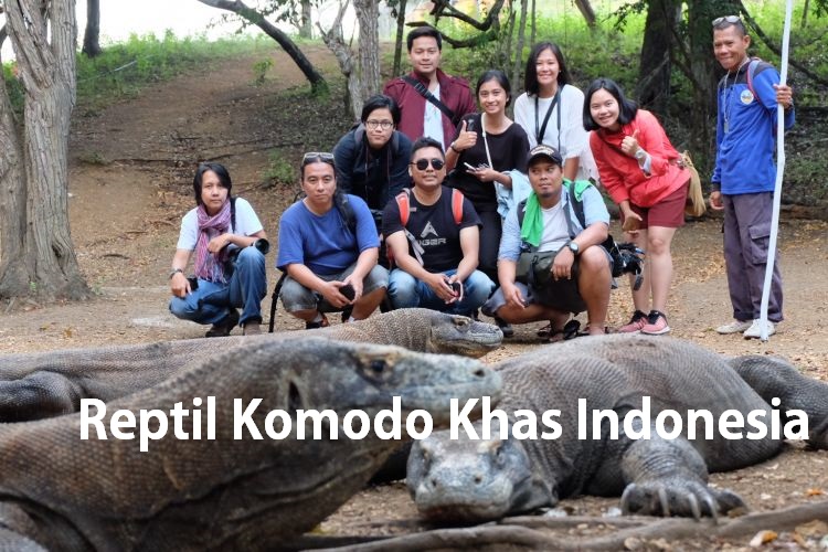 Reptil Komodo Khas Indonesia